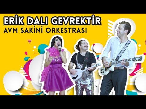 Erik Dalı Gevrektir - AVM Sakini Orkestrası