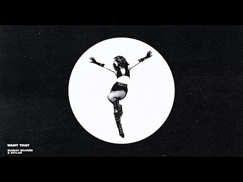 Sunday Scaries, XKYLAR - Want That [Official Visualizer]