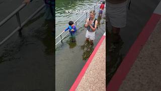 【アメリカ生活】テキサスオースティンの人気スポットに行ってみた！！ #アメリカ生活 #海外在住ママ #不器用ママのアメリカ奮闘記 #3兄弟ママ
