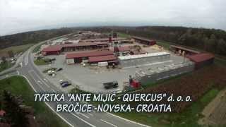 preview picture of video 'QUERCUS Ante Mijić - Bročice - Novska - Croatia'