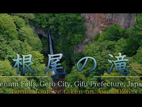 森を切り裂く白い水流8月の「根尾の滝」Summer Light & Water Spray | Aerial View of Neo Falls 4KHDR