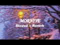 Morniye - Garry Sandhu ( Slowed + Reverb )