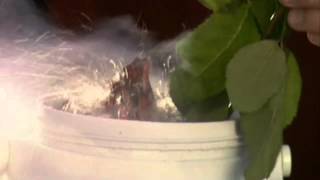 ♥ La habitación Roja-Hacia la Luz ♥