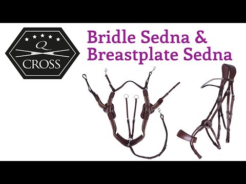 Q-Cross Bridle Sedna & Breastplate Sedna