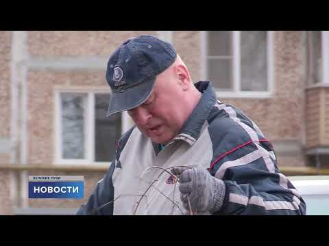 Новости / 04.04.2024 / 15:00