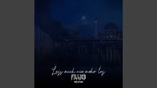 Lass mich nie mehr los