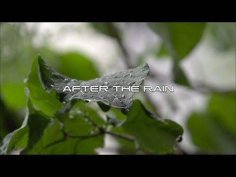 After the Rain - Fingerstyle Guitar by Frédéric Mesnier
