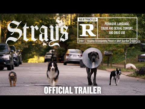 Strays | Official Trailer [HD]