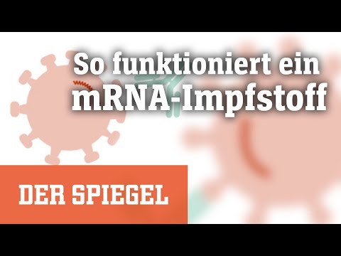 Corona: Wie funktioniert ein mRNA-Impfstoff? | DER SPIEGEL
