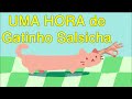 Gatinho Salsicha 1 Hora Uma Hora De Gatinho Salsicha GATINHO SALSICHA