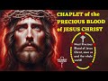 Chaplet Of The Precious Blood Of Jesus Christ Precious Blood Chaplet Pleading The Precious Blood