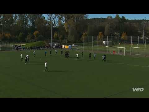 7  Spieltag Kreisliga A1 POES Anagenisis vs. TSV Miedelsbach - Alle Tore