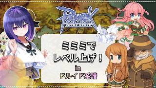 【Ragnarok Online】ミミミで強くなる！！【B鯖  ラグナロクオンライン 姫プ映り込み大歓迎✌】