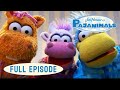 Pajanimals I Was A Baby We Re Going Camping ️ Jim Henson Family Hub Kids Cartoon