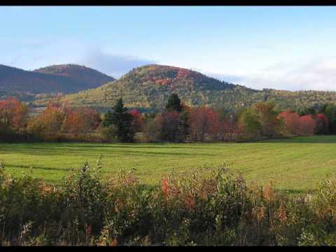 Fast Track   Lolita Humbert On The Hillside