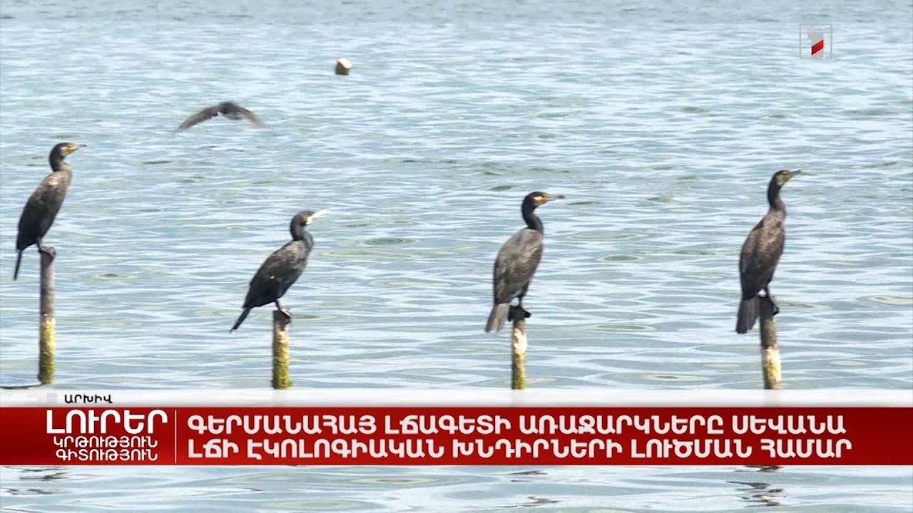 Գերմանահայ լճագետի առաջարկները Սևանա լճի էկոլոգիական խնդիրների լուծման համար