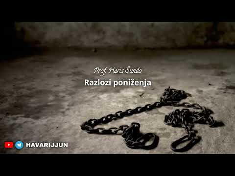 RAZLOZI PONIŽENJA - prof. Haris Šundo