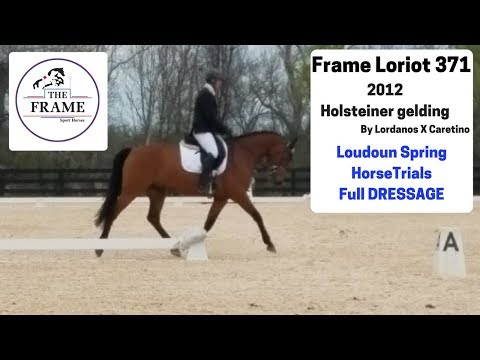 -Frame Loriot 371- **** Full DRESSAGE  Loudoun Spring Horses Trials **** HORSES FOR SALE
