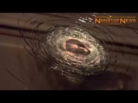 A1 Osnabrück - Steinewerfer beschädigen LKW