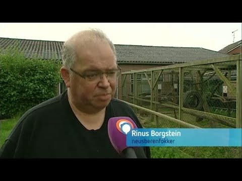 GLD Nieuws 20 juni 2013 - Nieuws