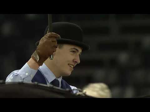 HK 2023 | Horses2Fly KFPS Sport Competition Harnesses | Part 1 | Spanish