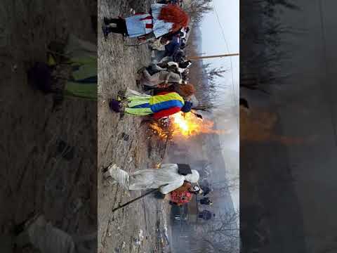 Mălancă Puiesti Vaslui 2018