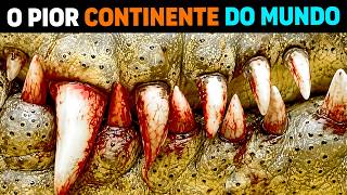 🚨 Por isso a Austrália FAZ a Amazônia PARECER UMA PIADA