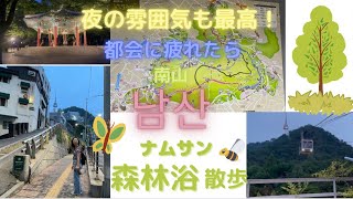 【2022.6】ソウルに行ったら絶対に行って欲しい！景色最高！雰囲気最高！夜の南山(ナムサン）森林浴散歩♪ Namsan Mountain Seoul No.8