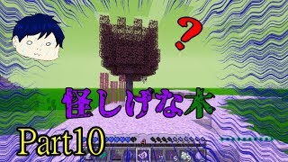 【Mod実況】魔法使いに転職したら壮大な冒険が始まったPart10