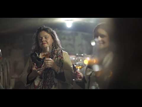 Winefulness #1 Čuječe okušanje vin