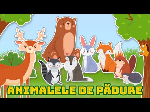 Animalele de Padure - Cunoasterea mediului | Copilasi Dragalasi
