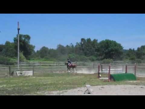 download lagu mp3 mp4 Ey Oul, download mp3 Ey Oul free download, download mp3 Ey Oul