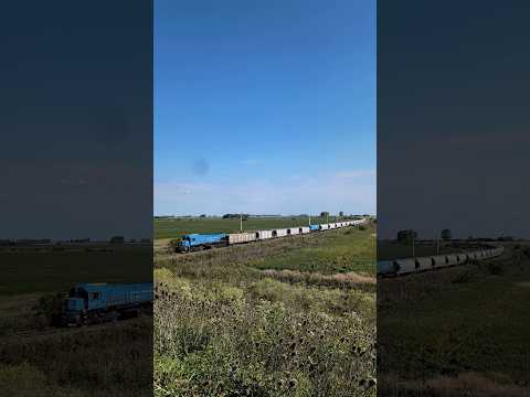 Un tren del Urquiza con dos destinos diferentes llegando a Basavilbaso - Marzo 2025