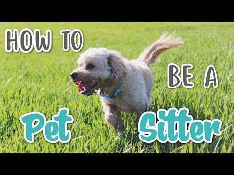 HOW TO BE A PET SITTER