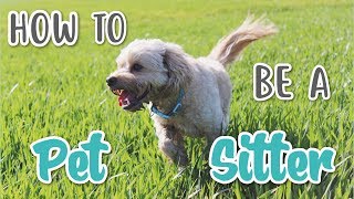 HOW TO BE A PET SITTER