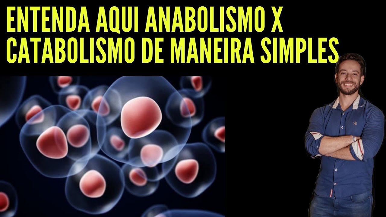 Anabolismo e Catabolismo: Entenda de uma vez
