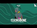 Da Real Emkay AquaReece Feat C Pho Sengibone Addictive Mix Visualizer