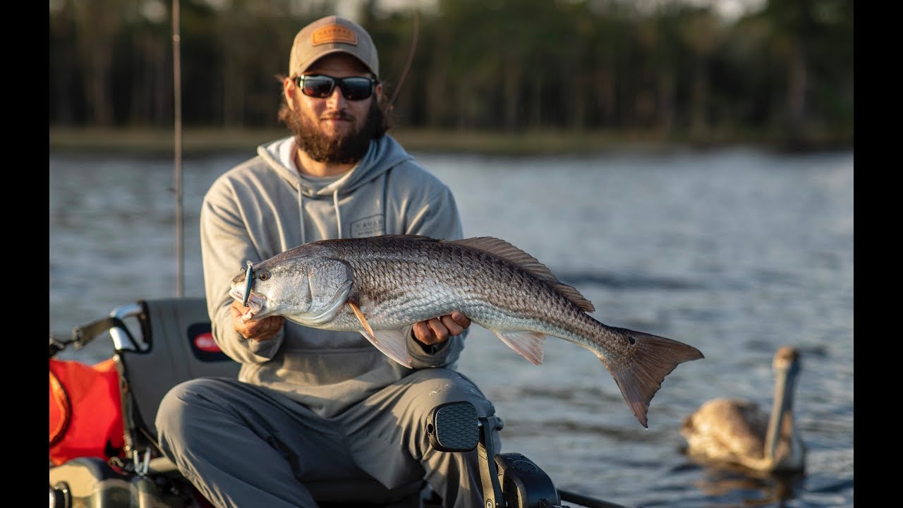 Facts about Redfish - Fish Facts