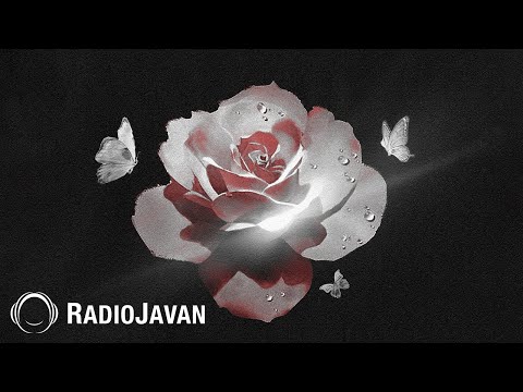 The Don Ft Sijal - "Gole Zendegi" OFFICIAL AUDIO | دن فیت سیجل - گل زندگی