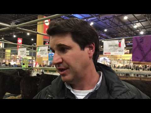 EXPO PALERMO 2018 ARGENTINA Rodrigo Fernandez Abella.