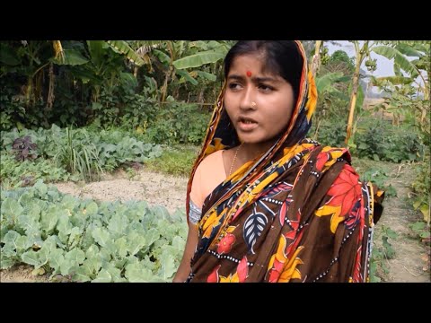 Watch Nipa’s Story on YouTube