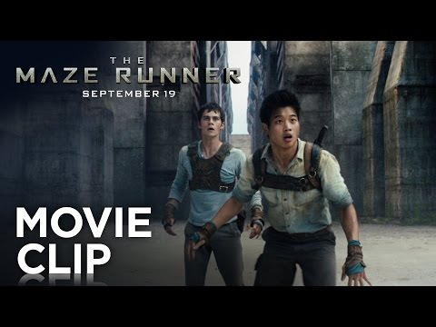 The Maze Runner (Clip 'Runners')