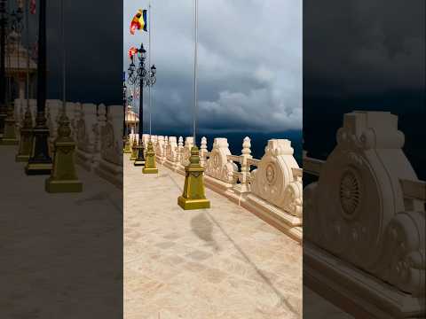 #viralshorts #shorts