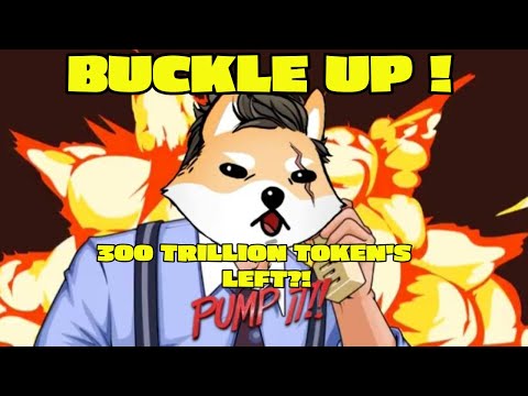 YOU HAVE NO CLUE | 300 TRILLION TOKENS LEFT DOGELON MARS | FU*K PREDICTION | BREAKTHROUGH INCOMING!