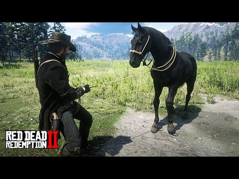 Domando o CORCEL NEGRO - O COLECIONADOR DE CAVALOS - 09