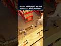Two Thieves became Heroes Accidentally #shorts #robbery #story