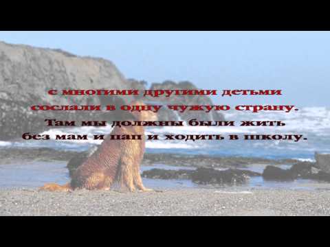 Вечерние рассказы для детей. История 057