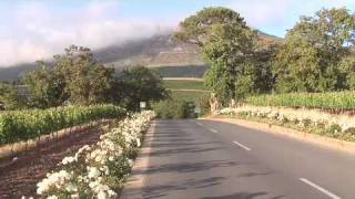 preview picture of video 'Groot Constantia Wine Estate in Cape Town South Africa'