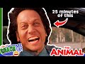 ROB SCHNEIDER Being An ANIMAL For 25 Minutes The Animal Compilation