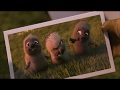 Still Over The Hedge